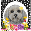 Havanese Cream Welcome Indoor/Outdoor Aluminium Sign