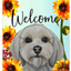 Havanese Cream Indoor/Outdoor Aluminium Sign