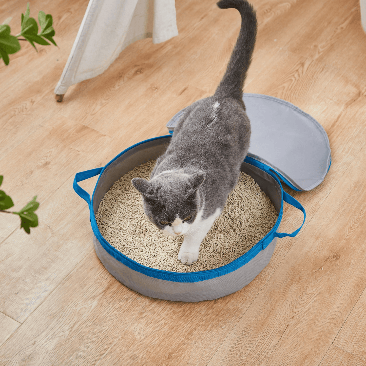 Mr. Peanut Travel Litter Box for Cats – Portable and Odour-Controlled