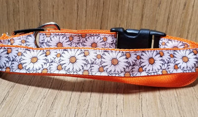 White and Orange Daisy Large Dog Leash - 6ft x 1in