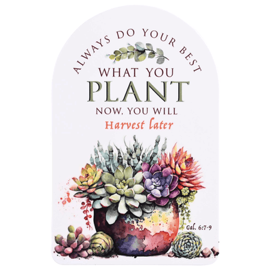 Pocketcard Always Do Your Best - Inspirational Succulent Design