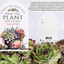 Pocketcard Always Do Your Best - Inspirational Succulent Design