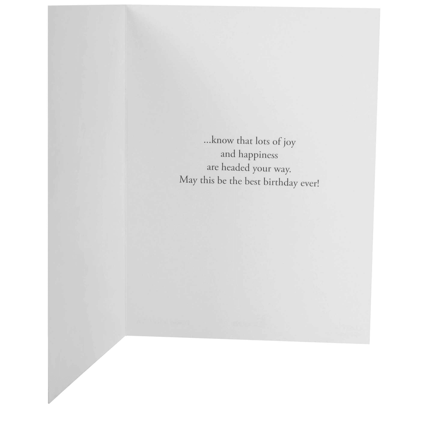 Yellow Birds Birthday Card Assortment - 12 Cards With Envelopes