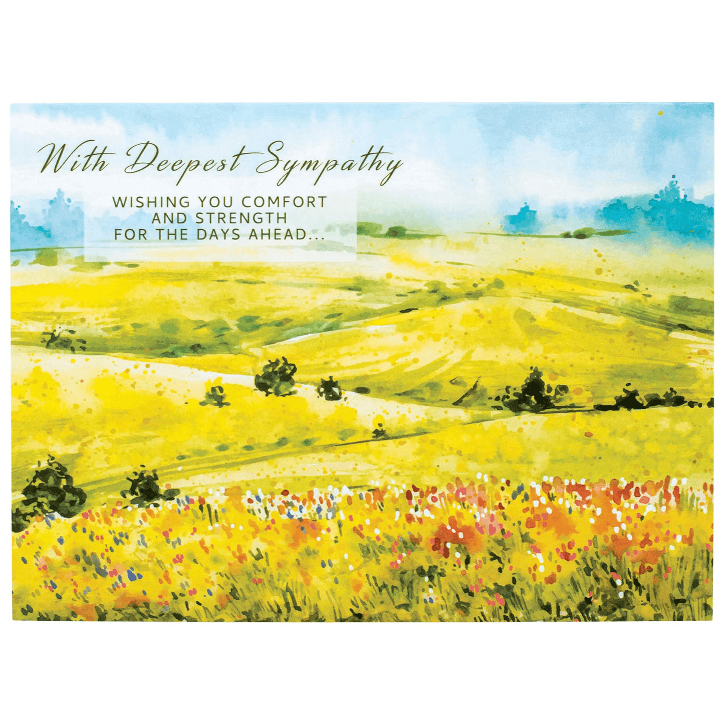 Sympathy Landscapes Scripture Card Assortment