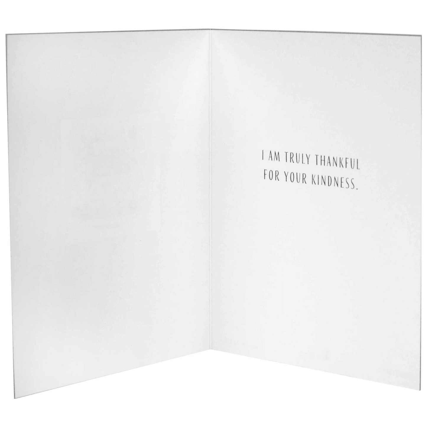 Teacup-Themed Thank You Card Set With Scripture - Assorted Designs