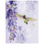 Hummingbird Card Set With Floral Design - Assorted Pack