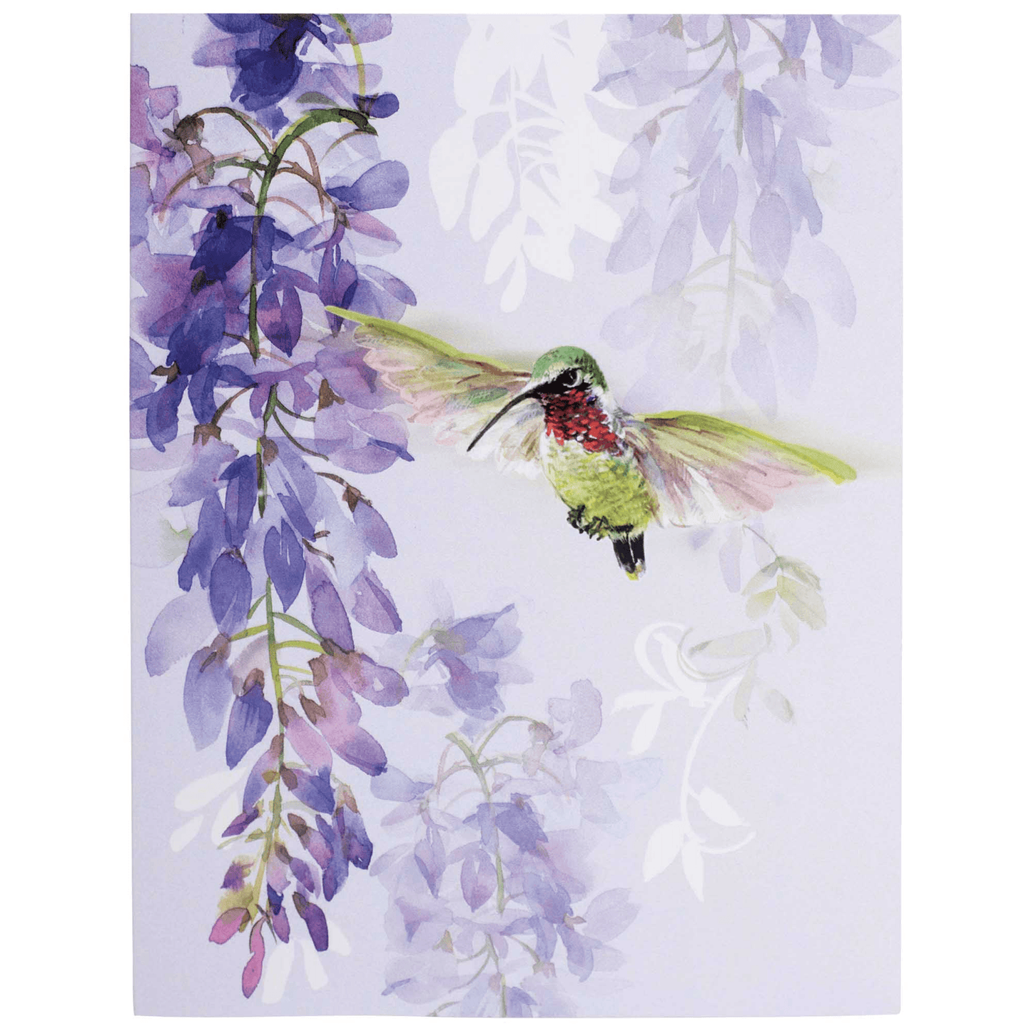 Hummingbird Card Set With Floral Design - Assorted Pack
