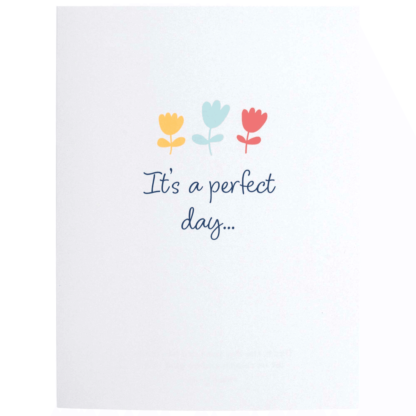 Whimsical Birthday Birds Scripture Card Assortment