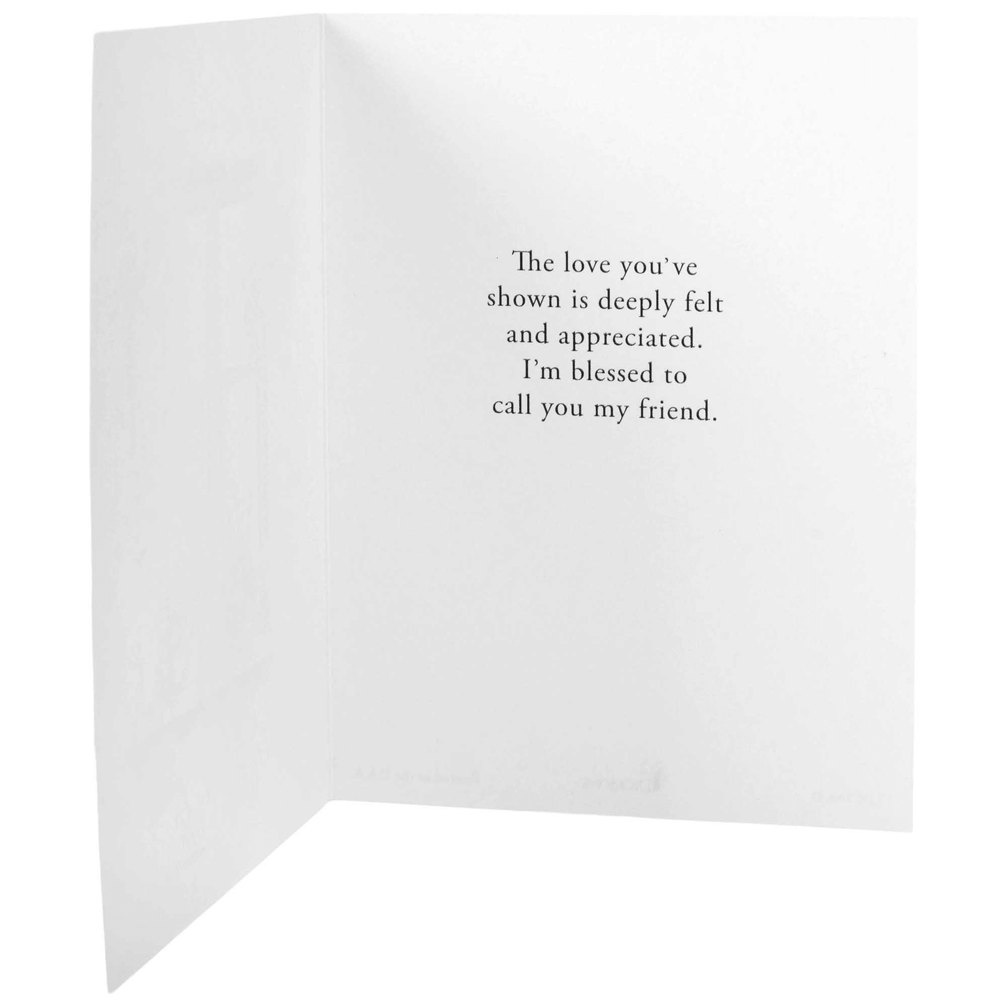 Friendship Windows Scripture Card Assortment