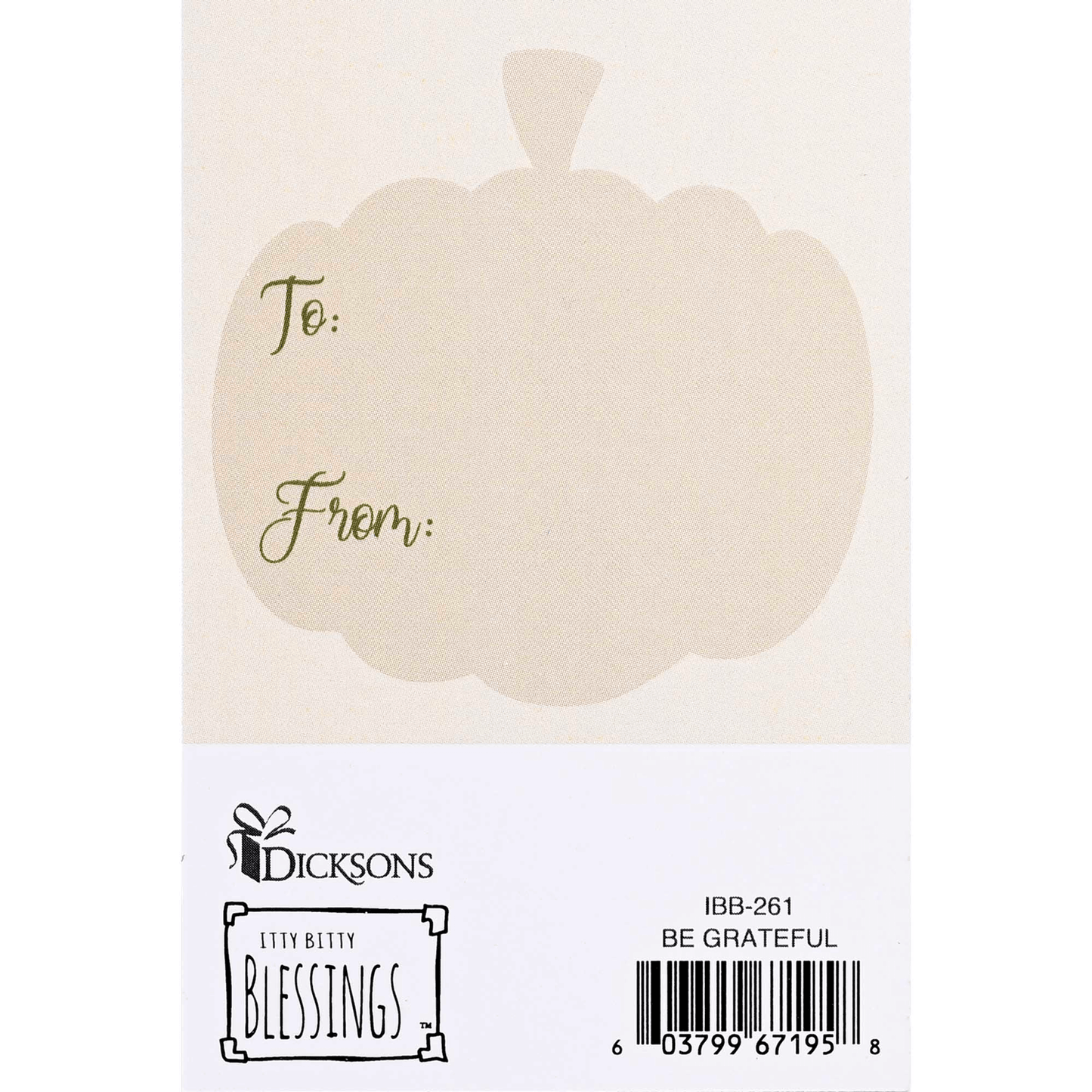 Itty Bitty Gratitude Cards - Pack Of 12