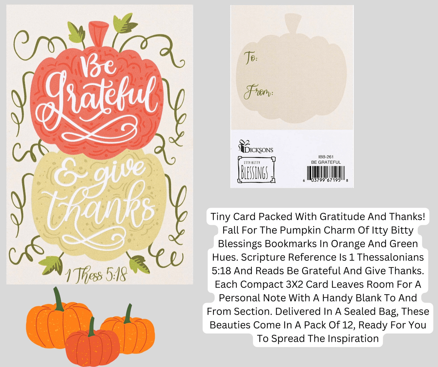 Itty Bitty Gratitude Cards - Pack Of 12