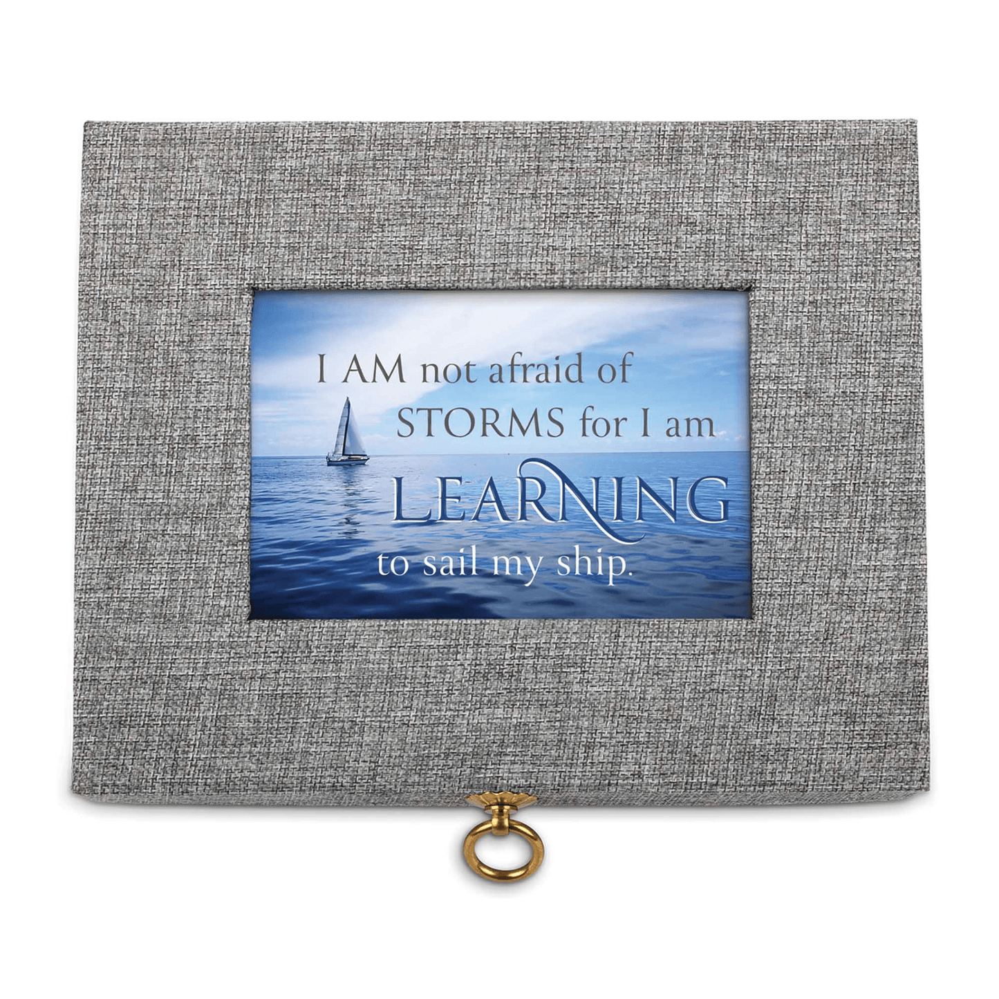 Elegant Music Box - I Am Not Afraid Of Storms