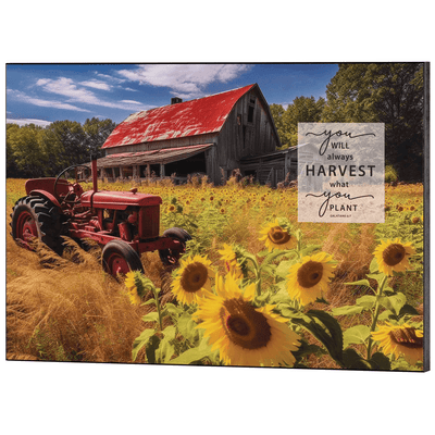 Harvest Reflection Wall Plaque