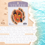 Tropical Footprints Stickers – Sunshine Vibes Collection