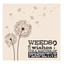 Weeds Or Wishes Memory Keepsake Box With Dandelion Artwork