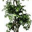 6.5' Luxury Realistic Artificial Ficus Tree