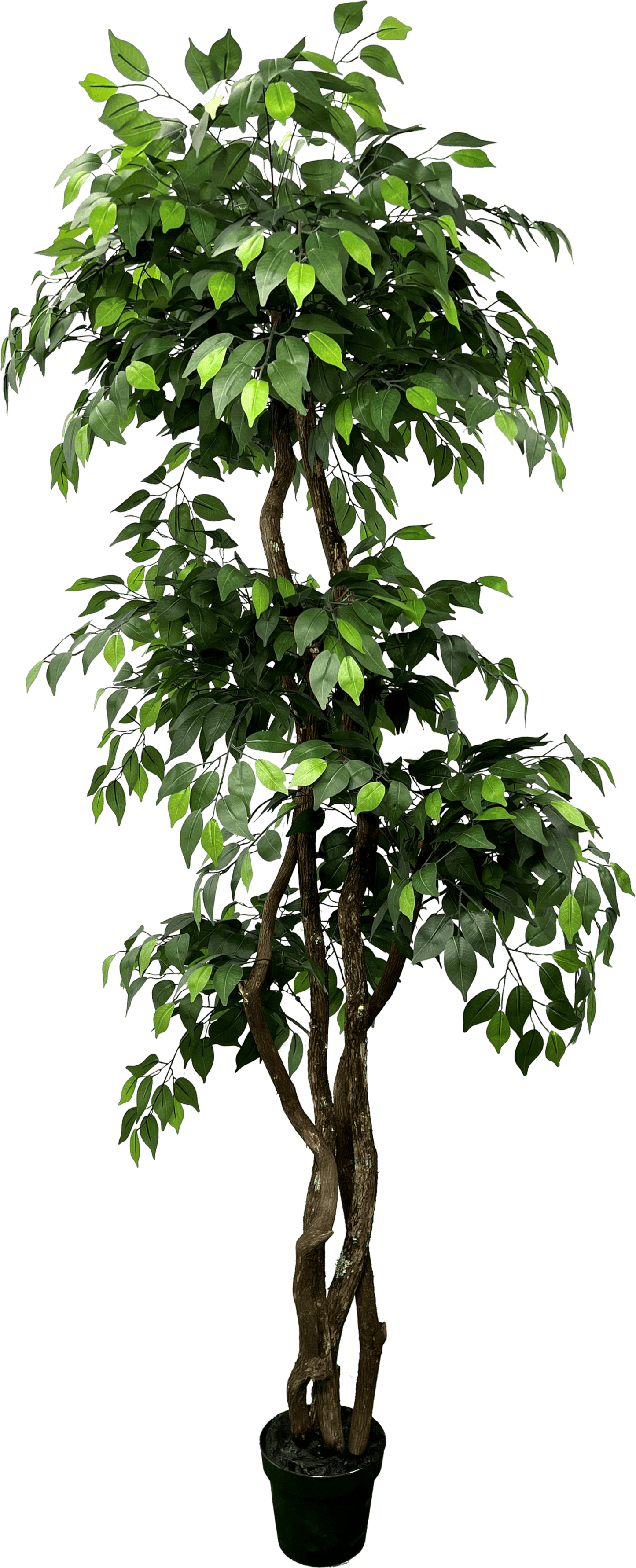 6.5' Luxury Realistic Artificial Ficus Tree
