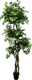 6.5' Luxury Realistic Artificial Ficus Tree