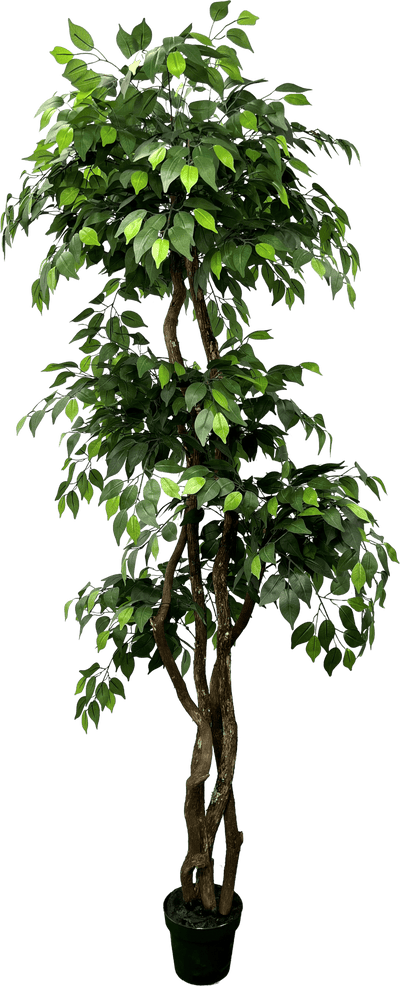 6.5' Luxury Realistic Artificial Ficus Tree