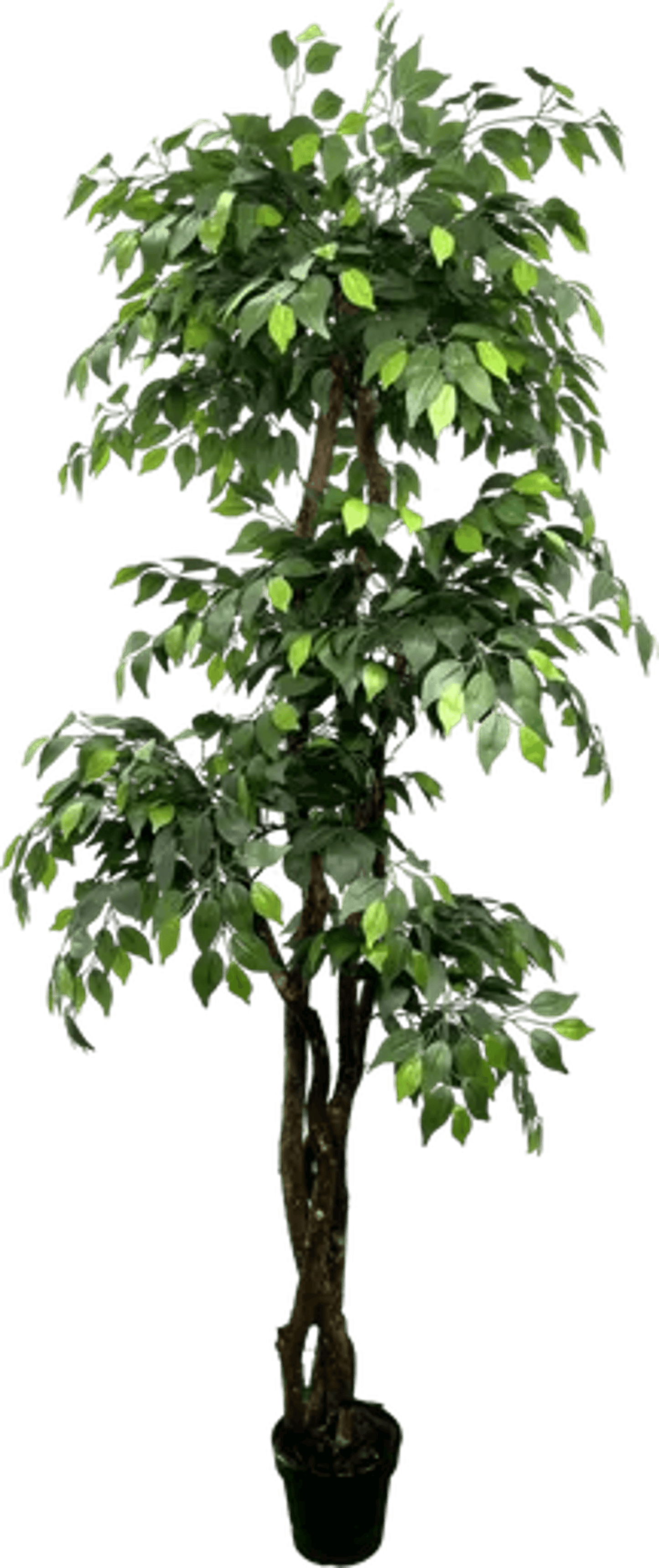 6.5' Luxury Realistic Artificial Ficus Tree
