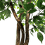 6.5' Luxury Realistic Artificial Ficus Tree