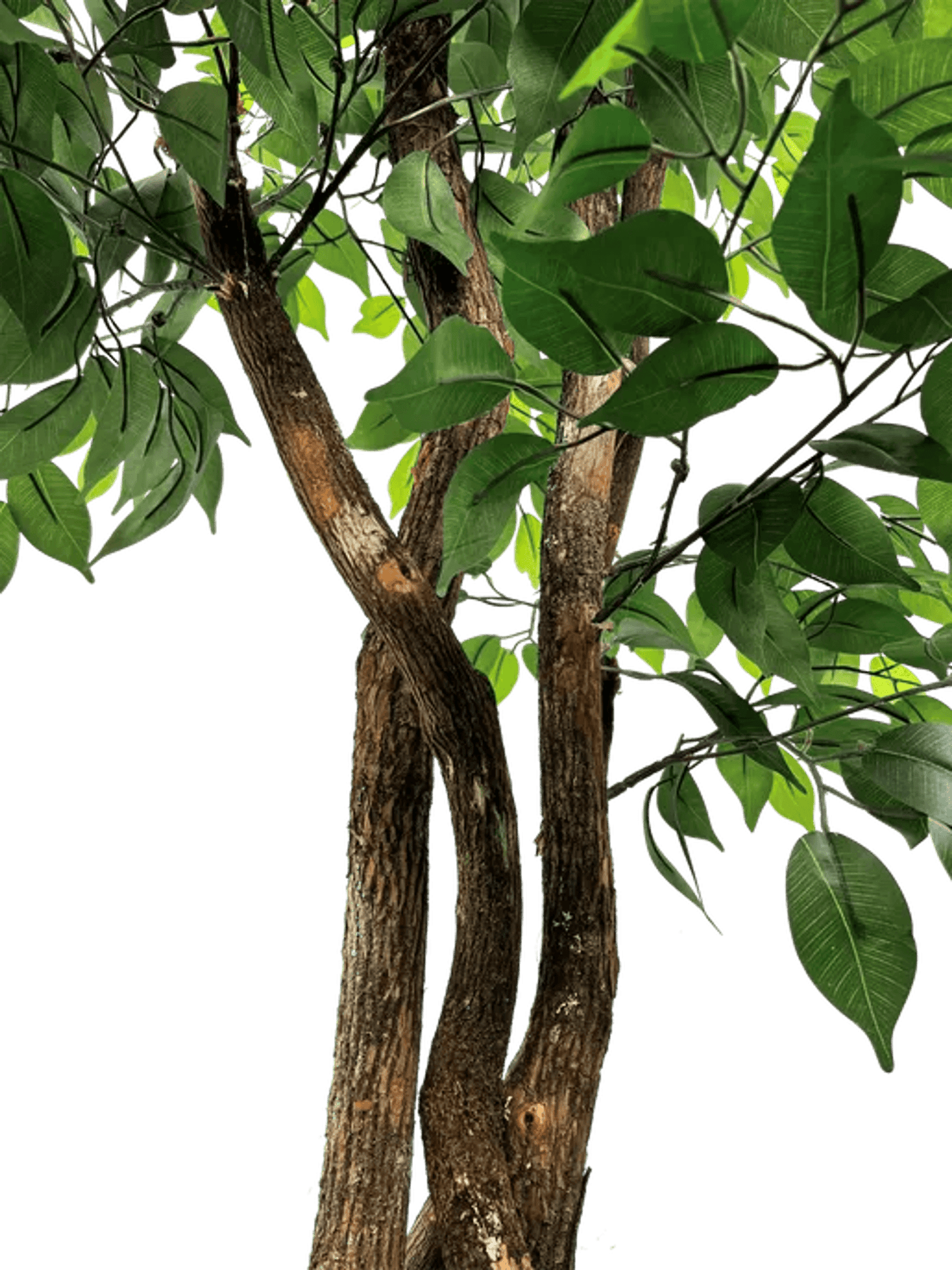 6.5' Luxury Realistic Artificial Ficus Tree
