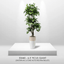 6.5' Luxury Realistic Artificial Ficus Tree