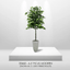 6.5' Premium Artificial Ficus Tree With Real Wood Trunk