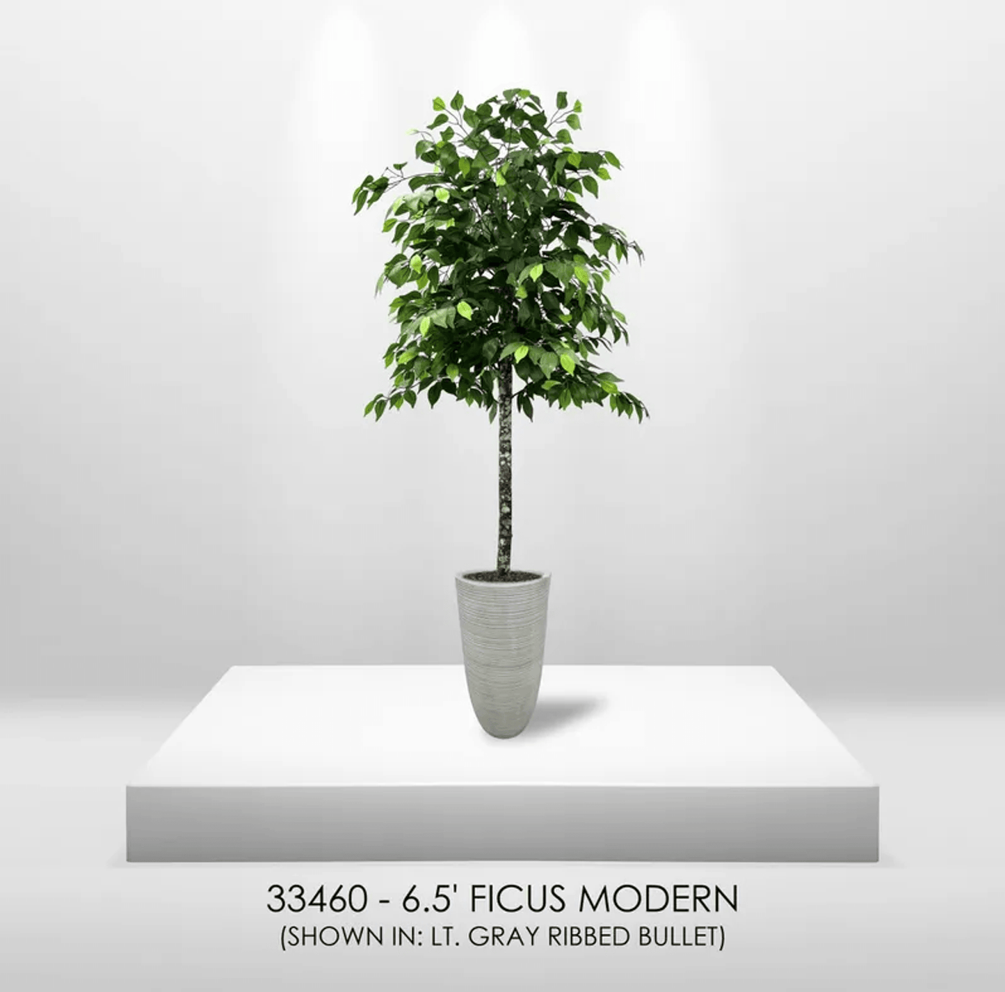 6.5' Premium Artificial Ficus Tree With Real Wood Trunk
