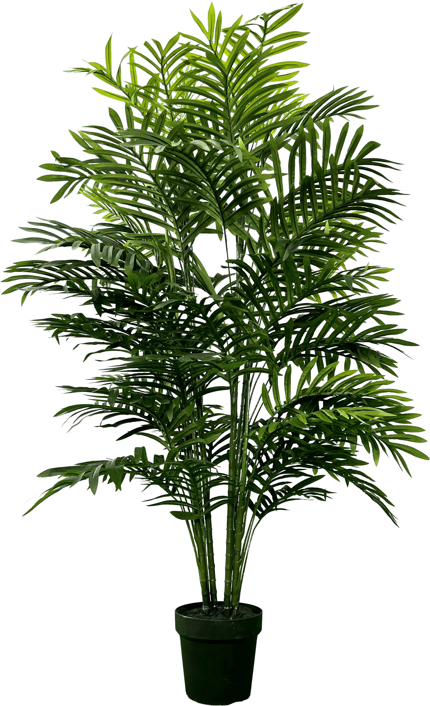 5' Realistic Artificial Double Phoenix Palm