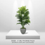 5' Realistic Artificial Double Phoenix Palm