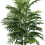 5' Realistic Artificial Double Phoenix Palm