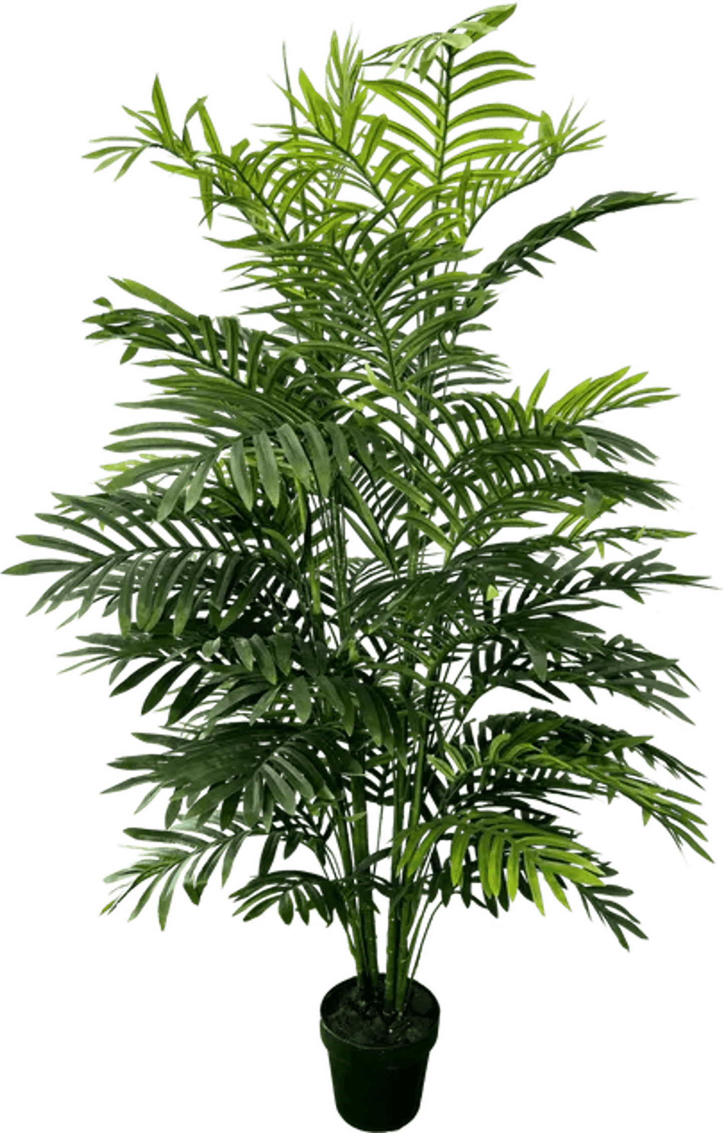 5' Realistic Artificial Double Phoenix Palm