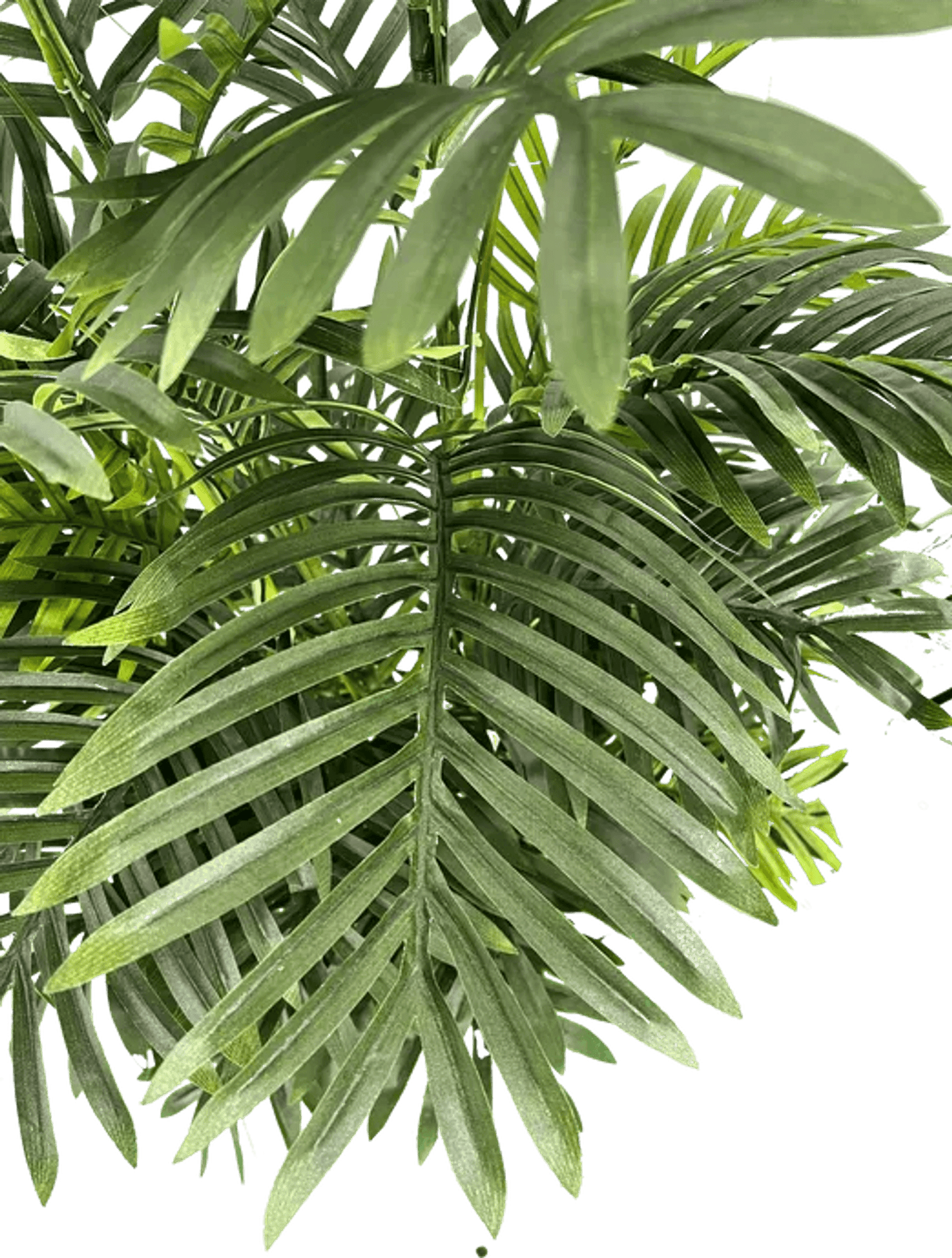 5' Realistic Artificial Double Phoenix Palm