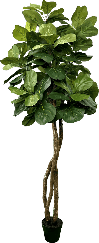 6' Designer Artificial Fig Tree With Realistic Leaves
