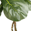 6' Designer Artificial Fig Tree With Realistic Leaves