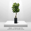 6' Designer Artificial Fig Tree With Realistic Leaves