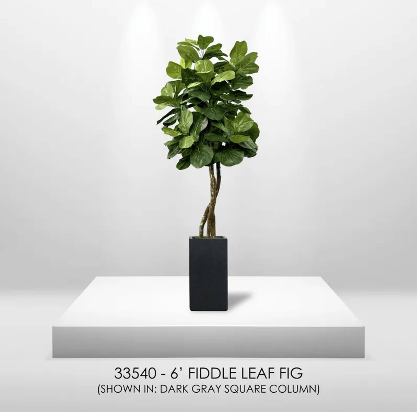 6' Designer Artificial Fig Tree With Realistic Leaves