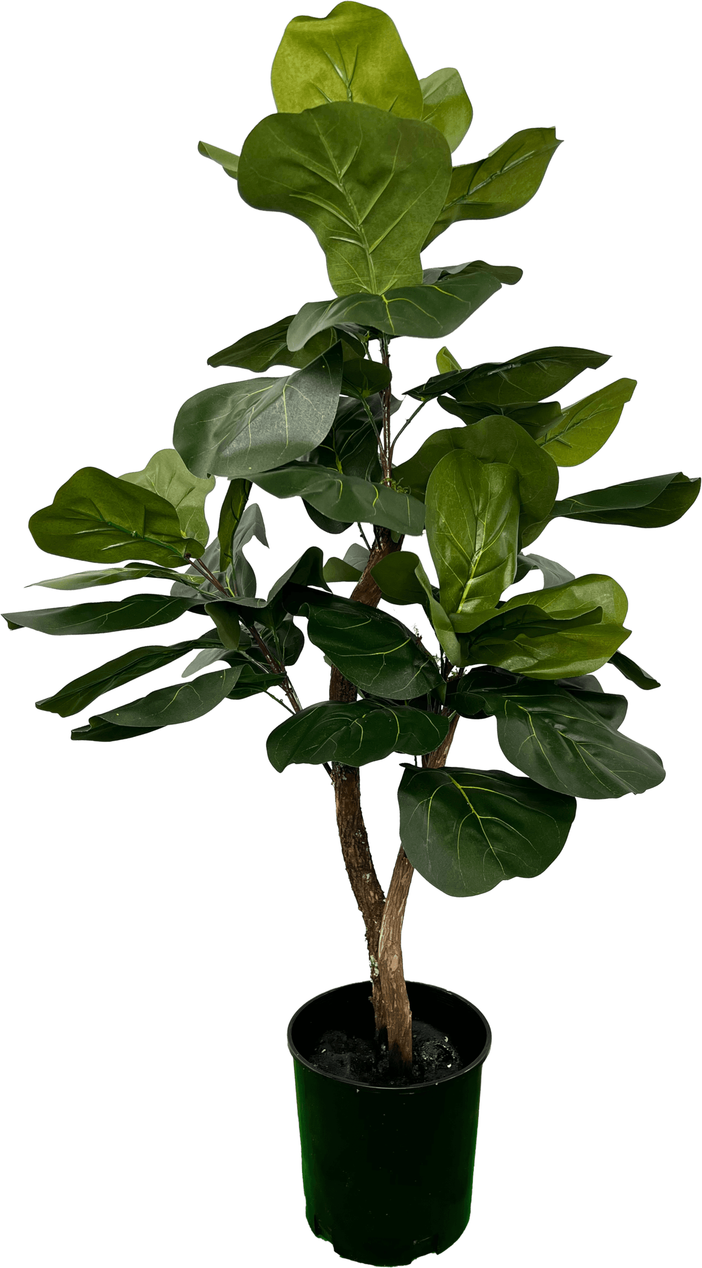 3' Realistic Designer Artificial Fig Tree With Wood Trunk