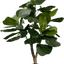 3' Realistic Designer Artificial Fig Tree With Wood Trunk