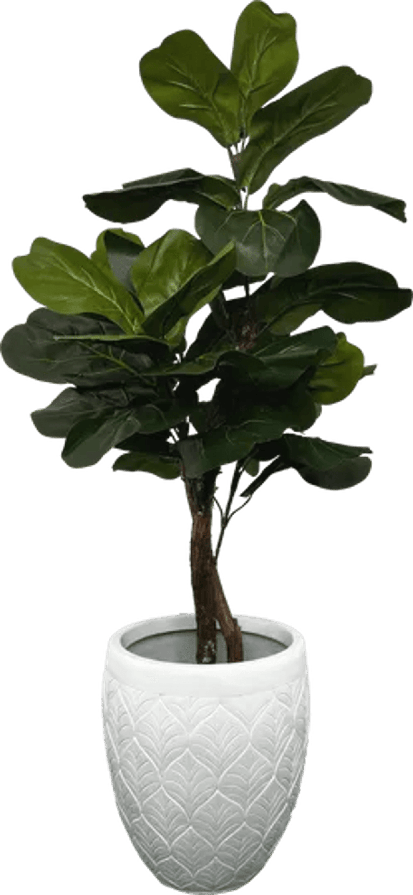 3' Realistic Designer Artificial Fig Tree With Wood Trunk