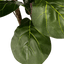 3' Realistic Designer Artificial Fig Tree With Wood Trunk