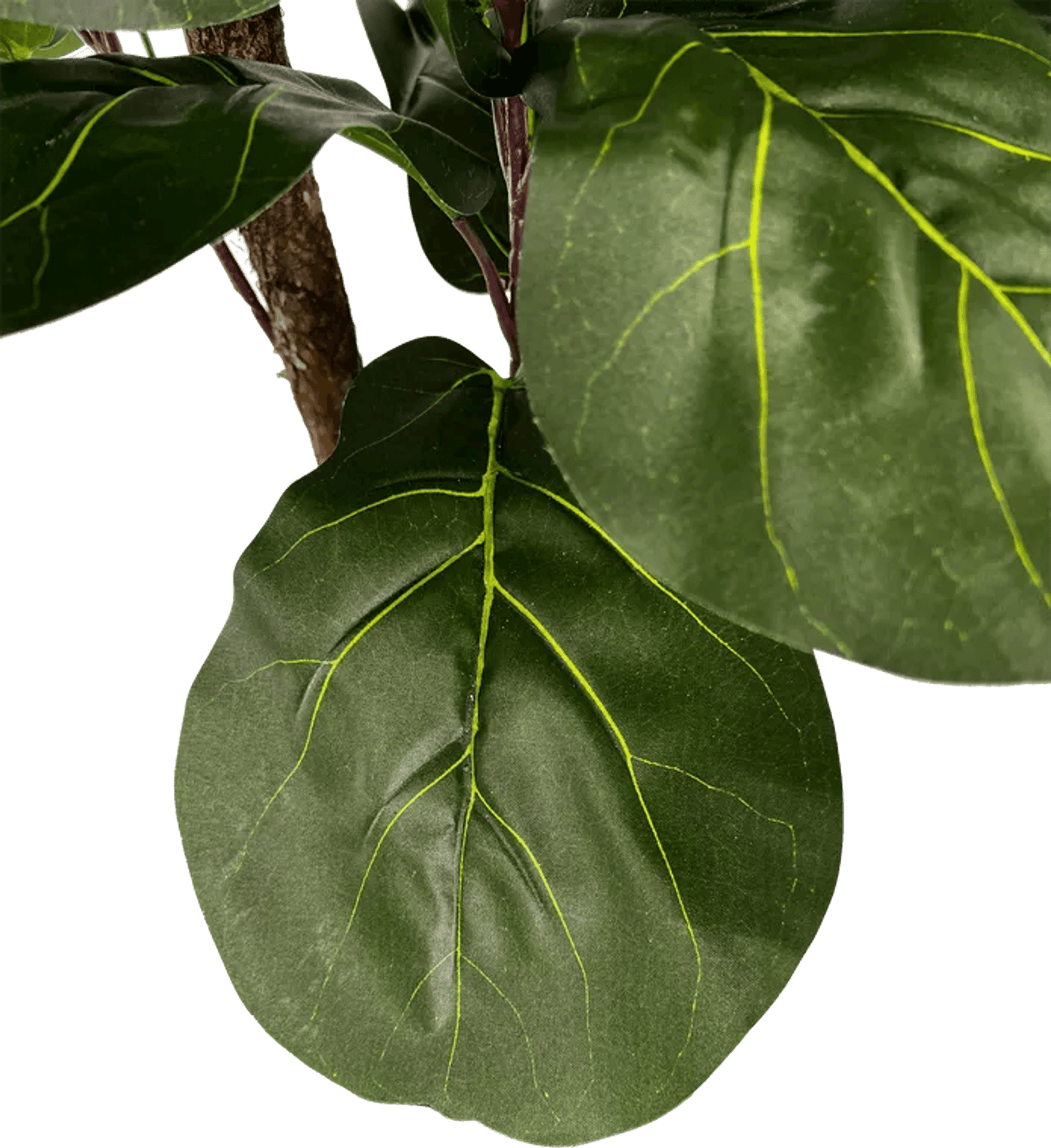 3' Realistic Designer Artificial Fig Tree With Wood Trunk