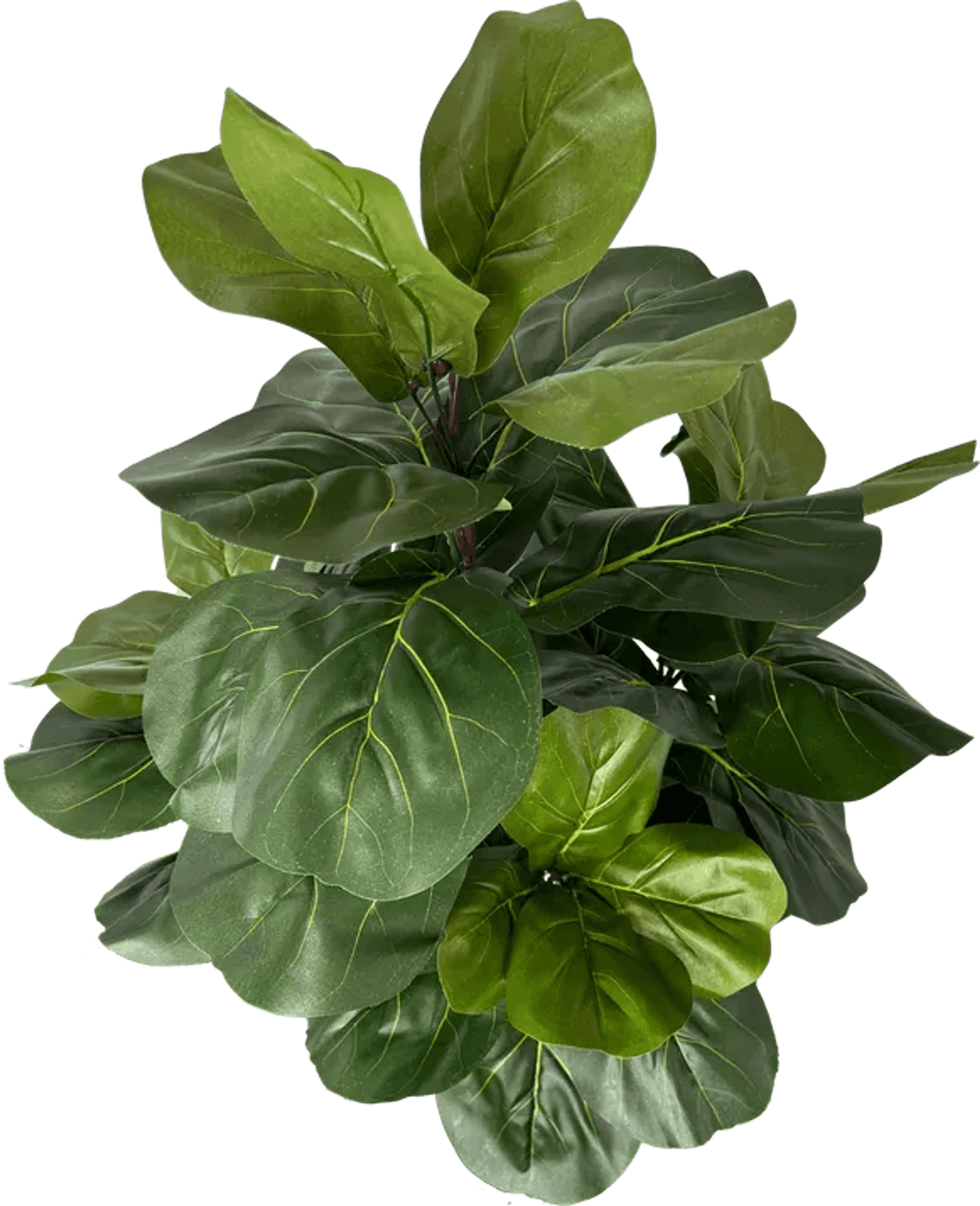 3' Realistic Designer Artificial Fig Tree With Wood Trunk