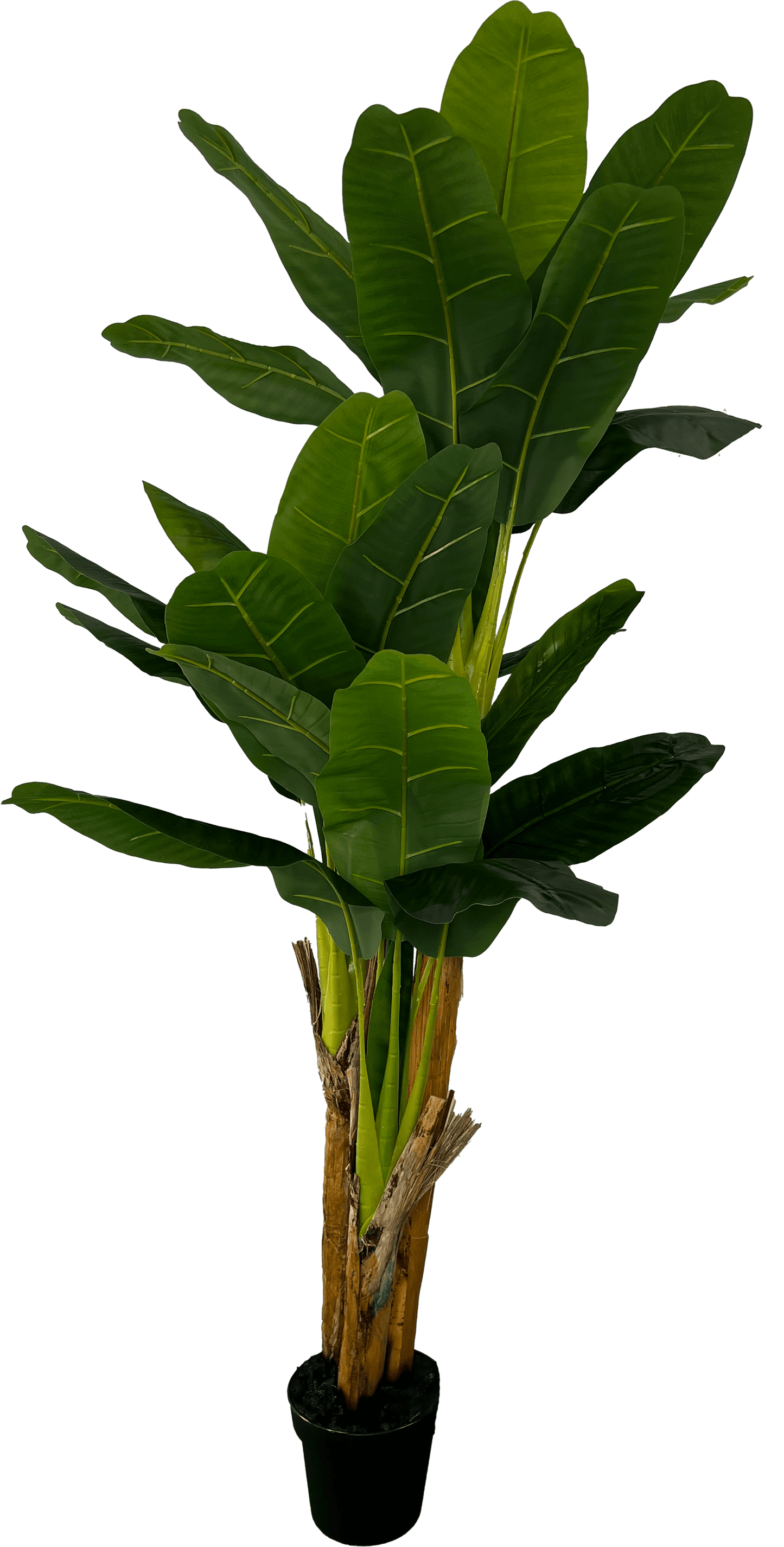 Deluxe 6' Artificial Banana Plant For Indoor/Outdoor Decor