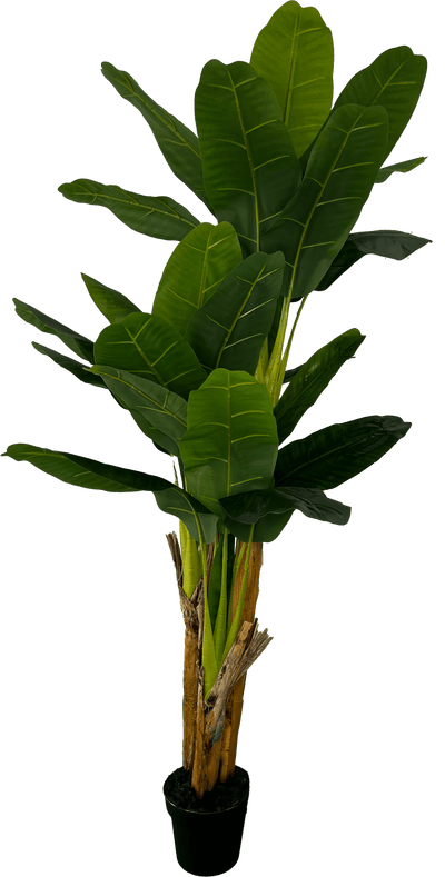 Deluxe 6' Artificial Banana Plant For Indoor/Outdoor Decor