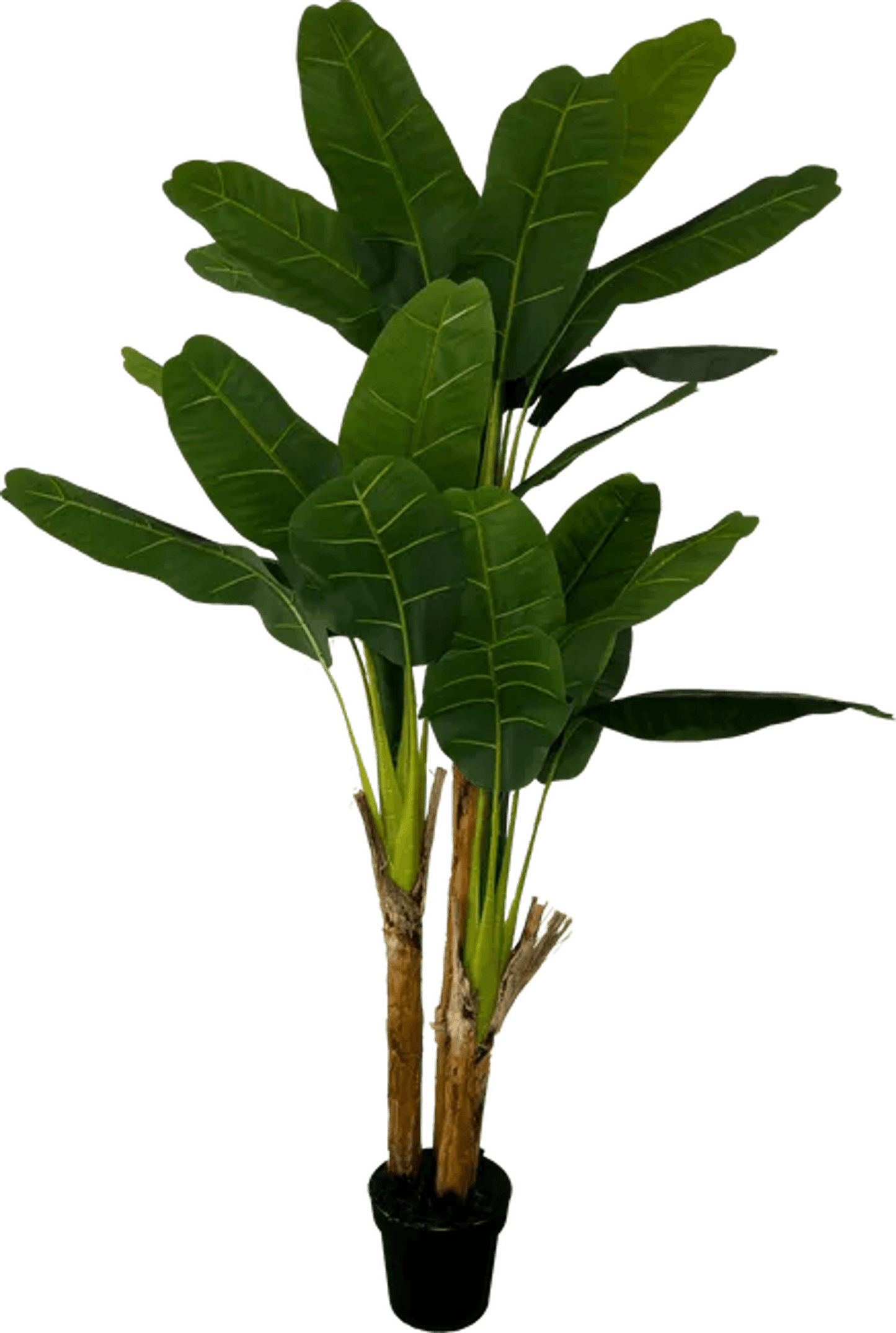 Deluxe 6' Artificial Banana Plant For Indoor/Outdoor Decor