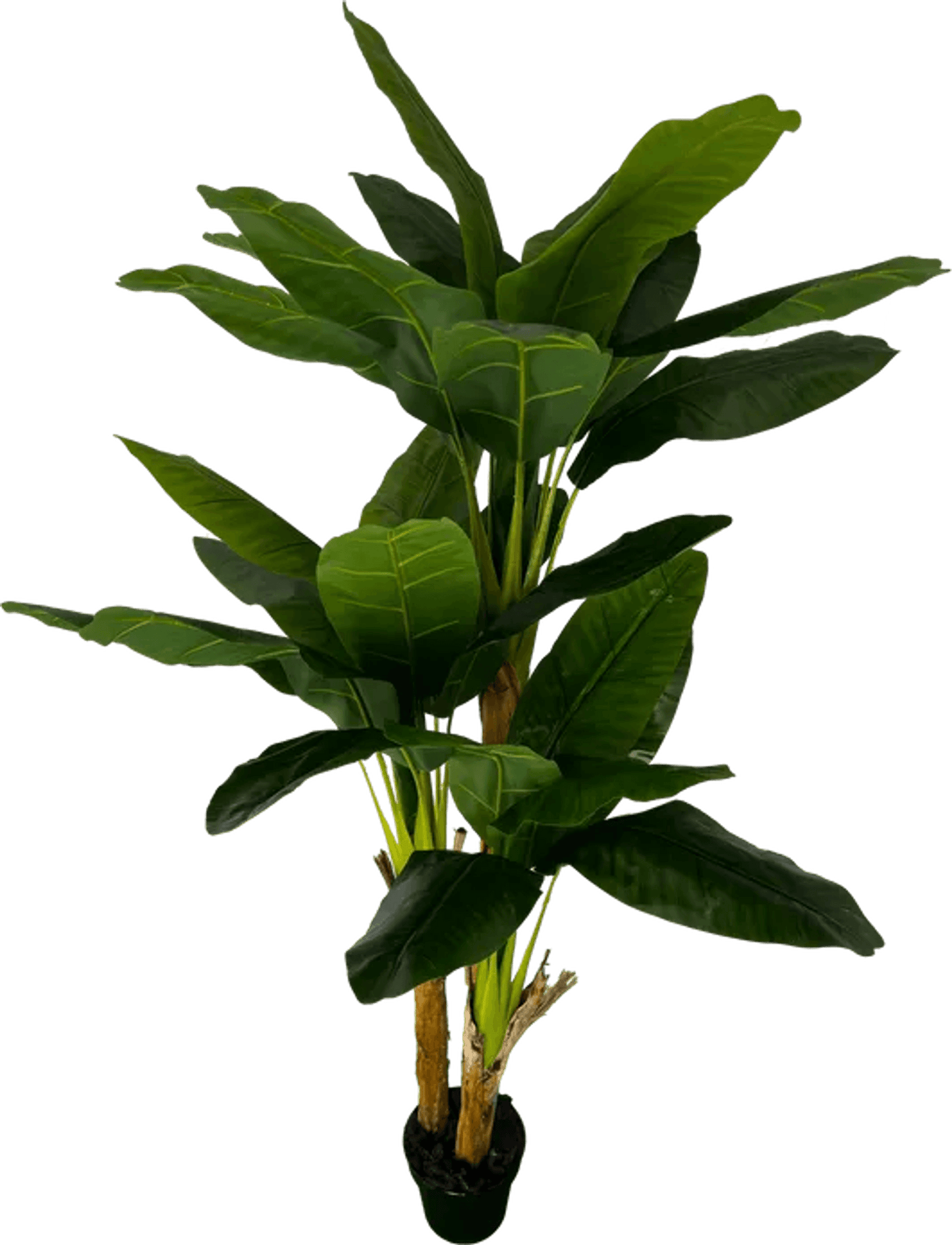Deluxe 6' Artificial Banana Plant For Indoor/Outdoor Decor