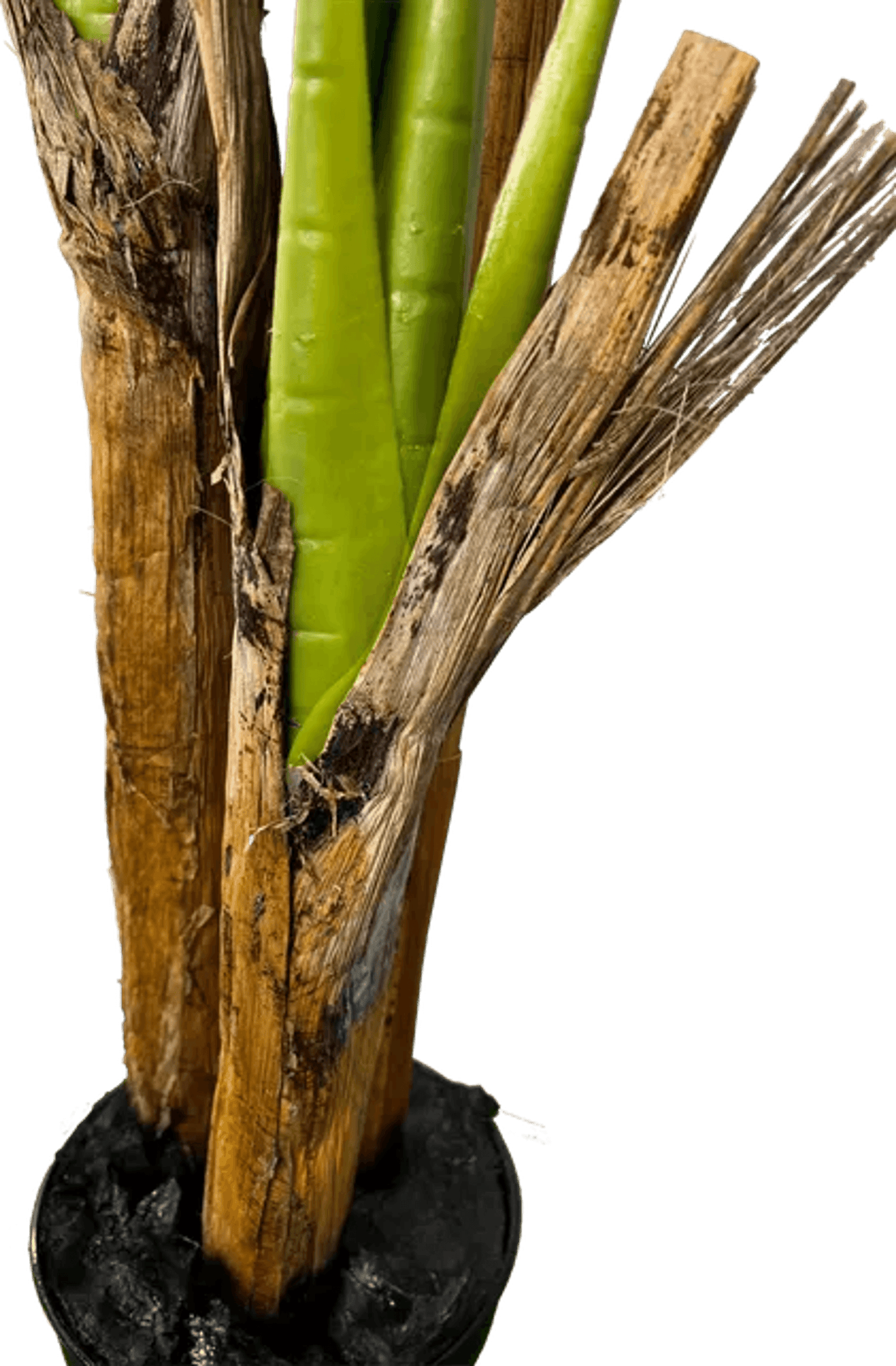 Deluxe 6' Artificial Banana Plant For Indoor/Outdoor Decor