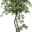 Lifelike 6' Artificial Mediterranean Olive Tree